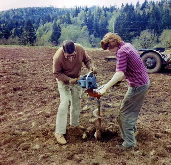 historical image - vineyard being planted in 1970's