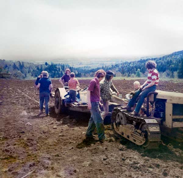 historical image - vineyard being planted in 1970's