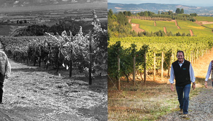 side by side image of historical view of vineyard and present day view