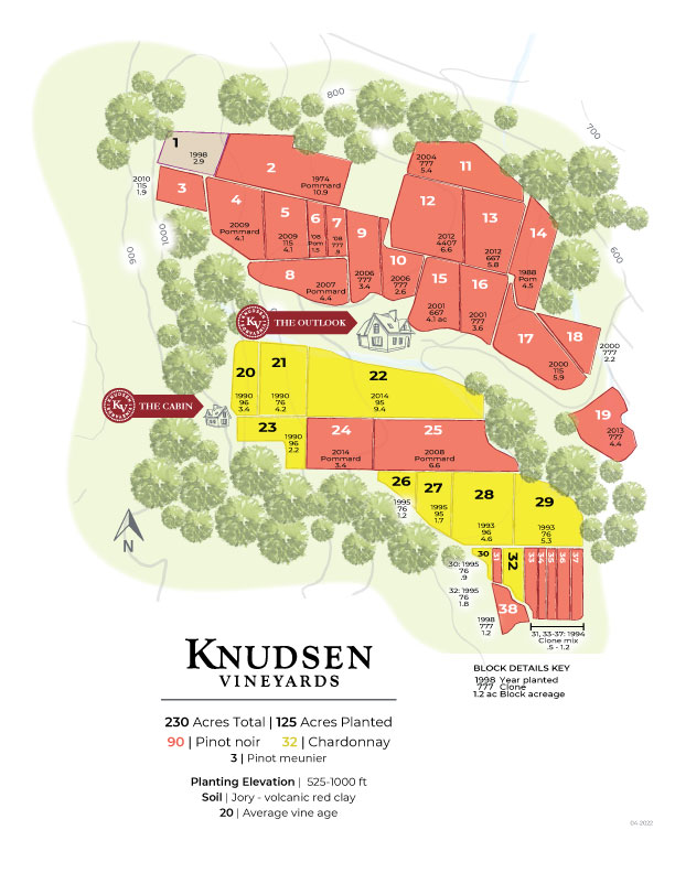 map of knudsen vineyards illustrating the various vineyard blocks by grape variety