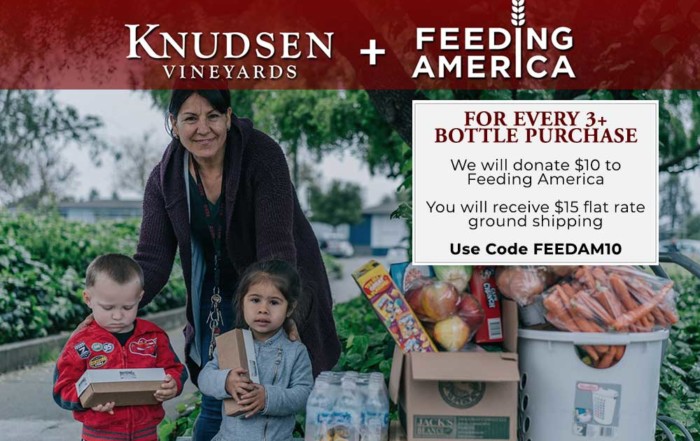 image showing a family with boxes of packaged food and fresh vegetables