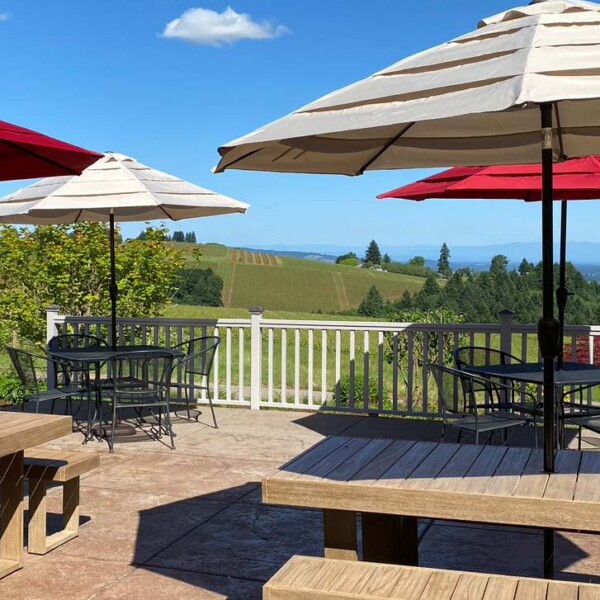 photograph of an outdoor patio with comfortable seating and open umbrellas on a sunny day
