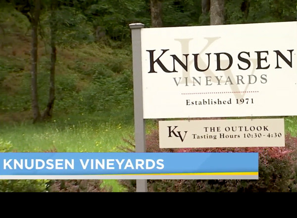 screenshot of a news clip showing knudsen vineyards front entrance sign