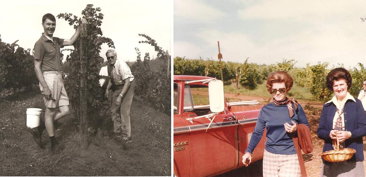 historical photographs of people dressed up and in the vineyard: Black and whit ephoto of two men picking grapes, color photograph of two women with bouffant hairdos carrying a basket near the vineyard and a red vintage dodge ram pickup truck