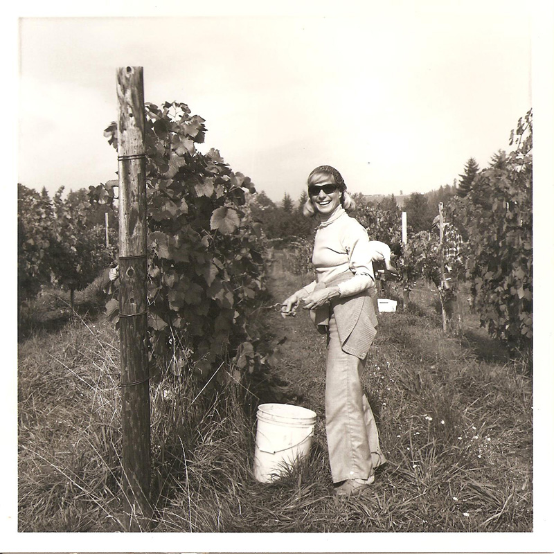 historical black and white photograph of a woman in the vineyard holding clippers with a white 3-gallon bucket