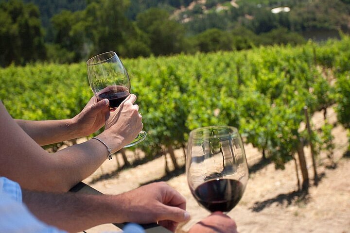 wine glasses in hands with a view of the vineyard