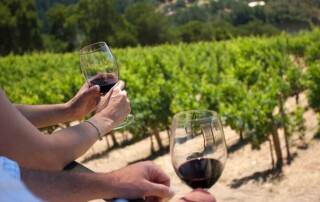 wine glasses in hands with a view of the vineyard