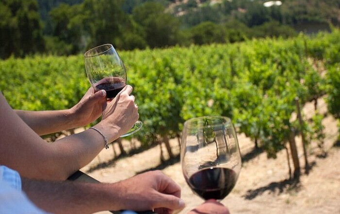 wine glasses in hands with a view of the vineyard